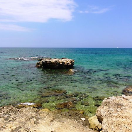 B&B Poggio Delle Ginestre Rutigliano Kültér fotó