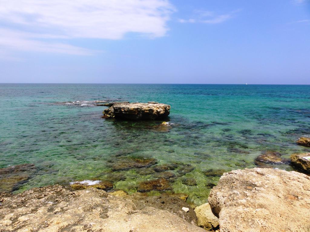 B&B Poggio Delle Ginestre Rutigliano Kültér fotó