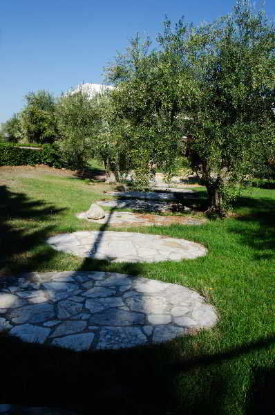 B&B Poggio Delle Ginestre Rutigliano Kültér fotó